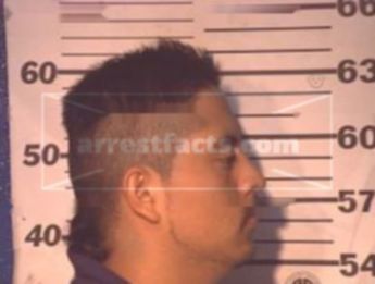 Oscar Iram Marin Villegas