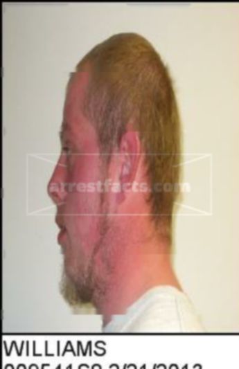 Larry Alan Williams Ii