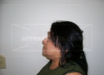 Sylvia L Villarreal