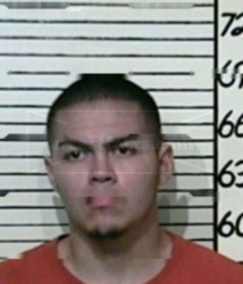 Rafael Ibarra