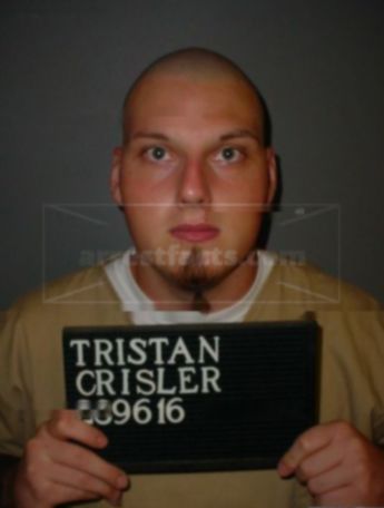 Tristan T Crisler