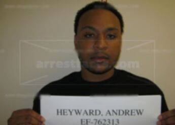 Andrew Nathan Heyward