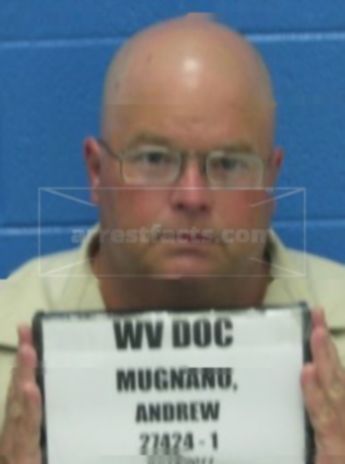 Andrew Mugnano