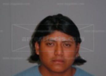 Carlos Sanchez Vasquez