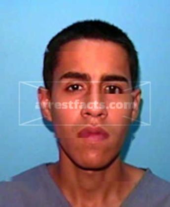 David Navarro Jr.