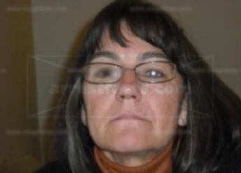 Lisa Nelson Gressman