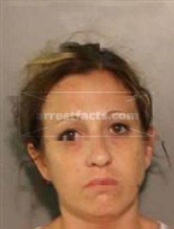 Leslie Ann Palmer