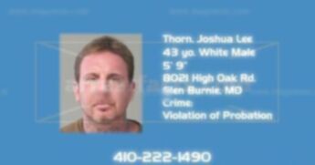Thorn Joshua Lee