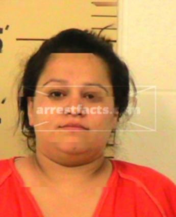 Crystal Diane Castillo