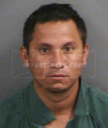 Manuel Alvarado-Ramos