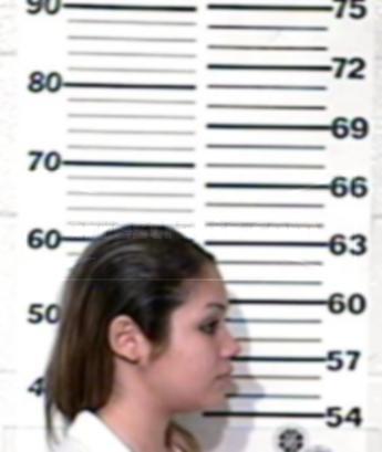 Aracely Sanchez Guerra