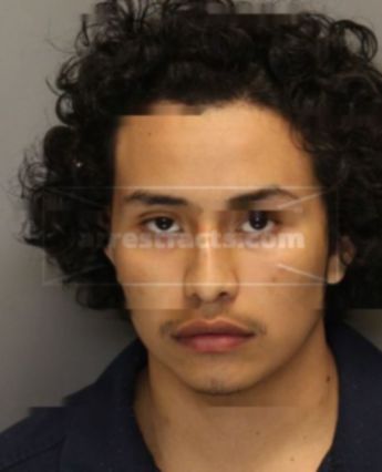 Solano Angel Jesus