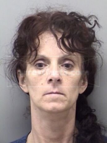 Lisa Michelle Vanderslice