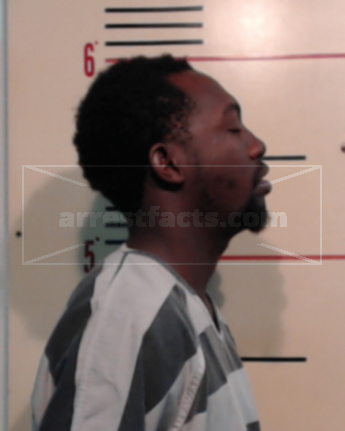 Brice Dewayne Mikal Jackson