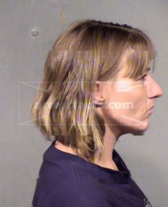 Cheryl Ann Cone
