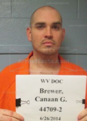 Canaan Gabriel Brewer