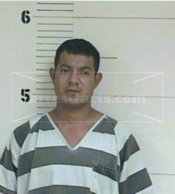Nelson Sanchez Martinez