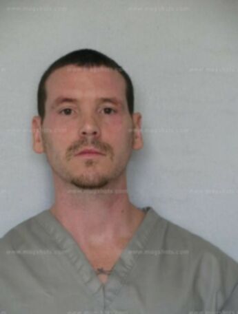 Michael A Chrisman