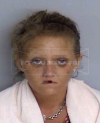 Ashley Summer Register