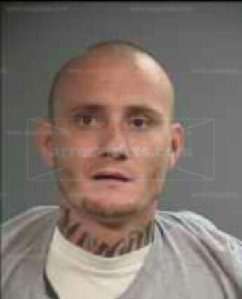 Troy Allison Madsen