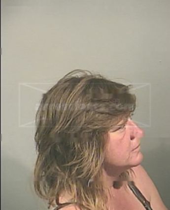 Jamie Irene Lane Holt