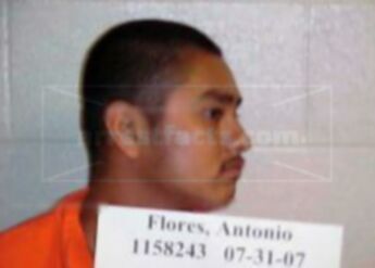 Antonio Tolentino Flores