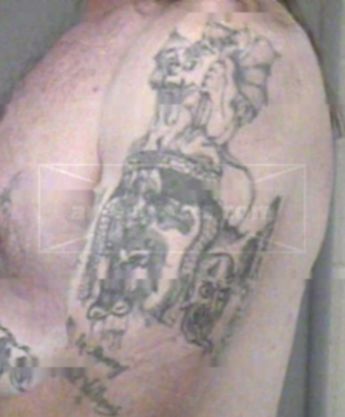 Robert S Williams