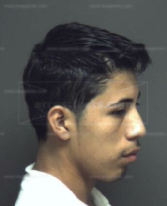 Alan Fernandez