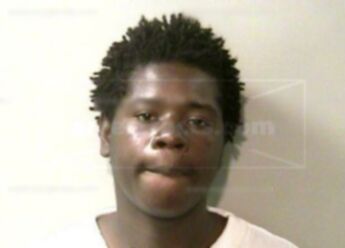 Webster L Williams