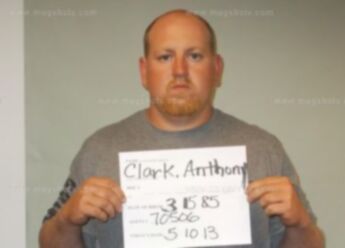 Anthony N Clark