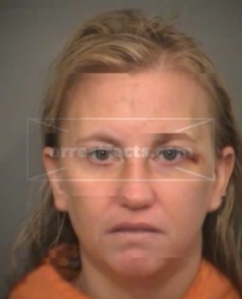 Sandra Renee Benfield Holcomb