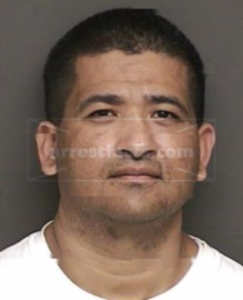 Homer Lee Pena