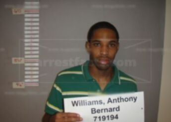 Anthony Bernard Williams