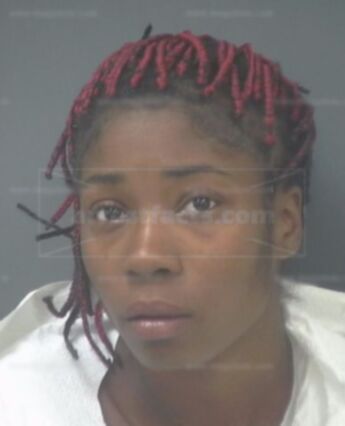 Paige Adrianna Hudson
