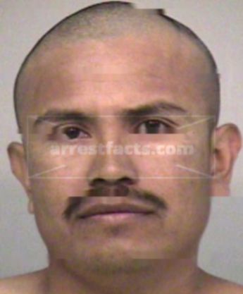 David B Lopez