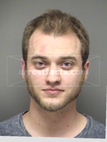 Branden Lewis Bestul
