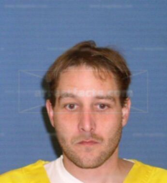 Michael M Averill