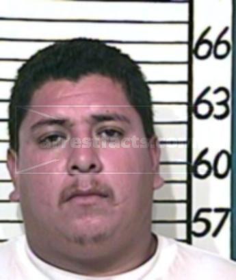 Jose Luis Hernandez-Salinas