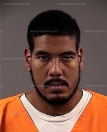 David Lanarares Bozeman