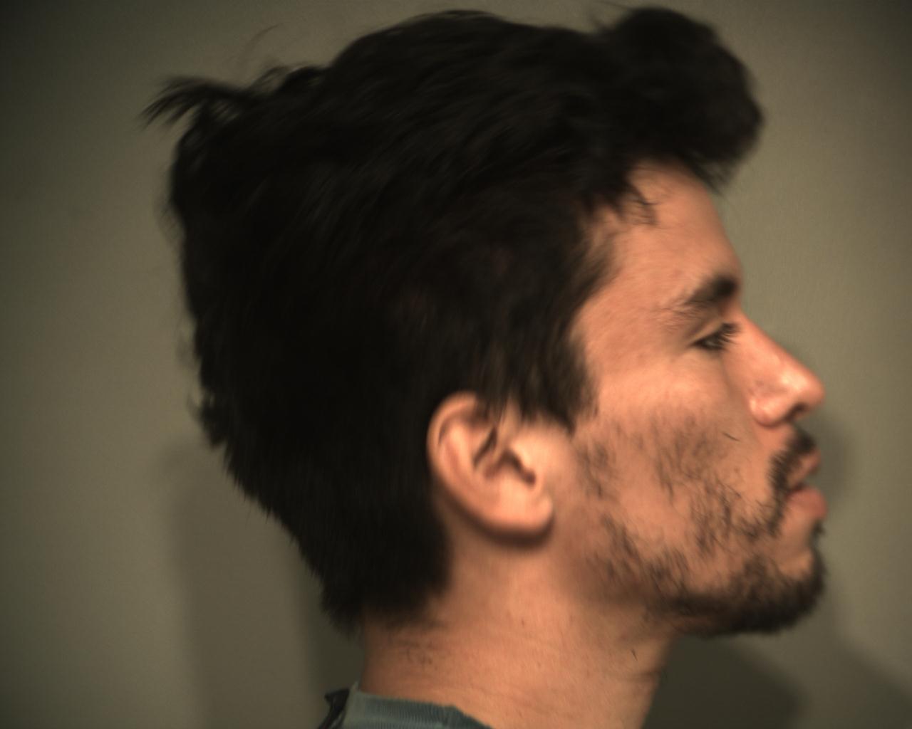 Dominic Emil Carrasco