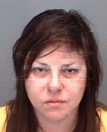 Nancy Janes Johnston