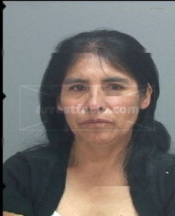 Rosa Maria Cruz Corona