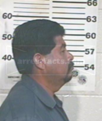 Pedro Gamboa Martinez