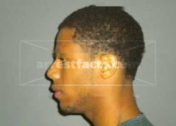Lorenzo Stewart Williams