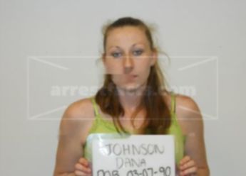 Dana M Johnson