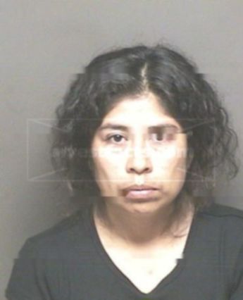 Judith Ochoa Vallejo