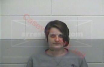 Amanda L Vanlandingham