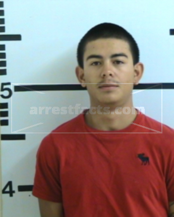 Patrick Lee Figeroa