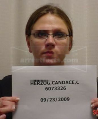 Candace C Herzog