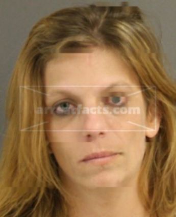Amy Ann Nel
